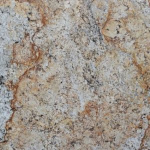 Gadwall-495-Close-300x300